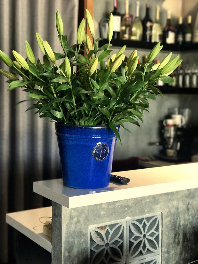 Danang Moment - Boutique Serviced Apartment Da Nang Exterior foto